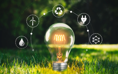 Principales retos ambientales que enfrenta Casanare en la actualidad